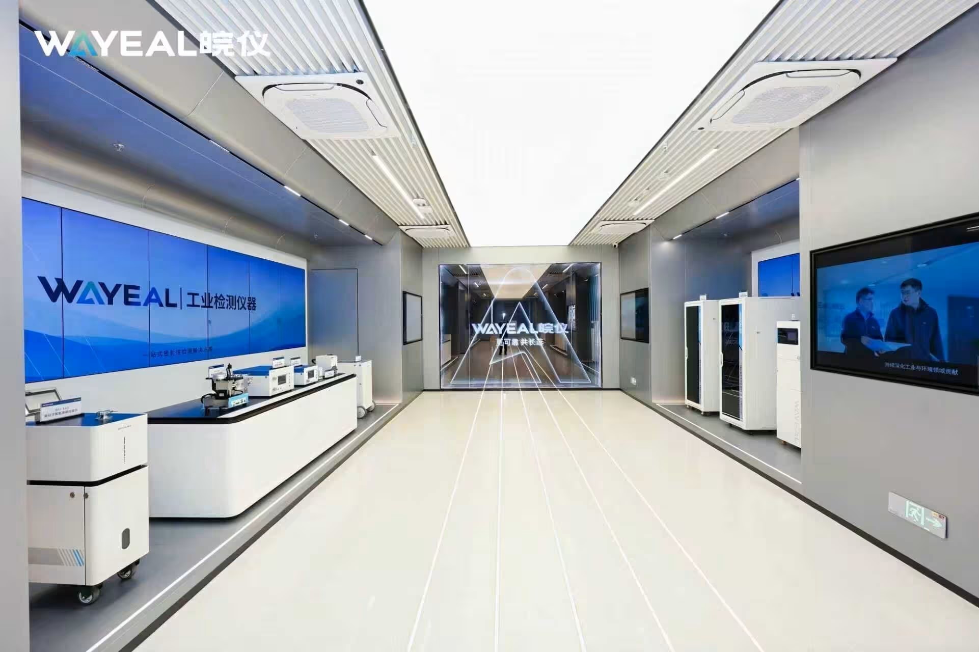 Anhui Wanyi Science and Technology Co., Ltd.