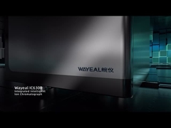 IC6300 이온 염색기 기기